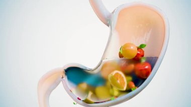 Meyveli mide, kilo verme ve beslenme kaybı, sindirim sistemi için sağlıklı besin, tıbbi ve sağlıklı gıda yeme konsepti. diyet fitness, tatlı tropikal meyveler, prebiyotikler, lif, 3D render