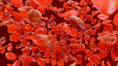 Damarlarda kırmızı kan hücreleri, eritrosit, arterin içinde akış, anatomi medikal, üç boyutlu