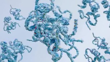 Büyüme faktörleri, biyolojik kavram, kimya ve biyokimya gibi insan insülinin moleküler yapısı, döngü, çizgi film modeli, birbirine karışmış hidrofobik yan zincirler, IGFBP-5 ve IGF-I, 3d canlandırma