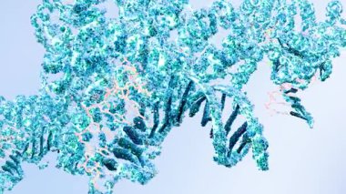 İnsan antijen proteininin moleküler yapısı p53 DNA, biyolojik konsept, kimya ve biyokimya ile kompleks, genomun koruyucusu kanser oluşumunu, çekirdek alanını, 3d oluşturulmasını önler.
