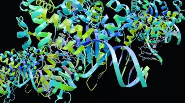 İnsan antijen proteininin moleküler yapısı p53 DNA, biyolojik konsept, kimya ve biyokimya ile kompleks, genomun koruyucusu kanser oluşumunu, çekirdek alanını, 3d oluşturulmasını önler.