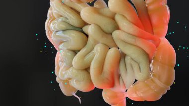 Sinir bozucu bağırsak sendromu (IBS), işlevsel bağırsak bozukluğu için ilaçlar veya Gastrointestinal, Gut-beyin ekseni, IBS, Abdominal Ağrı, Şişkinlik ve Kramp ve Gaz için müshil, 3d