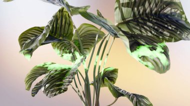 Bitki teknolojileri, fotosentez, doğanın biyolojisi. Çiçek açan bitki, Calathea Yaprağı büyümesi, Yeşil Yapraklar, Kloroplastlar ve Klorofil, 3D üretimi.