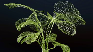 Bitki teknolojileri, fotosentez, doğanın biyolojisi. Çiçek açan bitki, Calathea Yaprağı büyümesi, Yeşil Yapraklar, Kloroplastlar ve Klorofil, 3D üretimi.