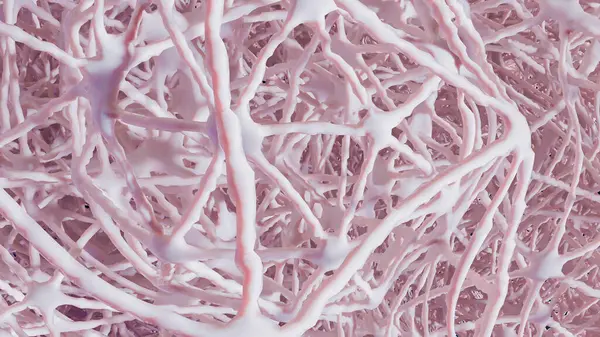 Süngerimsi insan dokusu, sağlıklı osteoporoz yapısı, 3 boyutlu...