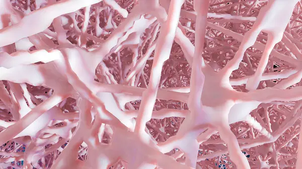 Süngerimsi insan dokusu, sağlıklı osteoporoz yapısı, 3 boyutlu...