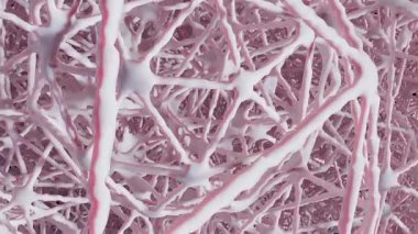 Süngerimsi insan dokusu, sağlıklı osteoporoz yapısı, 3 boyutlu...