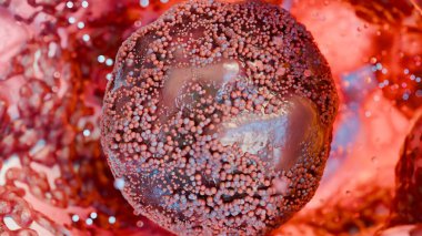 Mikroskop altında virüs hücreleri, mikrobiyoloji ve bakteri hastalığı, Protein yapısı, mikrobiyoloji bulaşıcı hastalıklar, Coronavirus covid-19 hastalığı, enfeksiyon, grip epidemiyolojisi, HIV HPV, 3D render