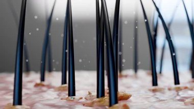 Kepeğe karşı tedavi, Serum beslenme, cilt iltihabı, yağlı saç bakımı. Kepek önleyici, şampuan saç ve kafa derisindeki kepeği çıkarır, zarar görmüş saç ve deriyi onarır, güzellik konsepti, 3D