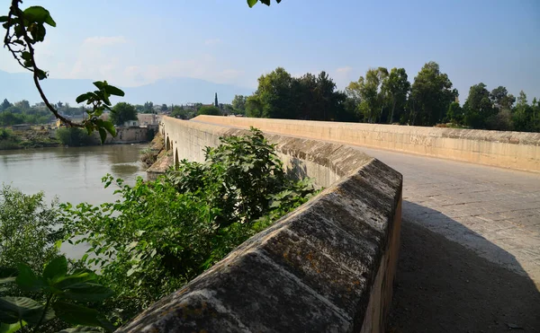 Histórico Puente Misis Encuentra Río Ceyhan Distrito Yreir Ciudad Misis — Foto de Stock