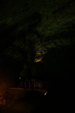 Gökgöl Mağarası Türkiye 'nin Zonguldak ilçesinde yer almaktadır. Kollarıyla 3350 metre uzunluğundaki mağara Türkiye 'deki en büyük mağaralardan biridir..