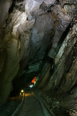 Gökgöl Mağarası Türkiye 'nin Zonguldak ilçesinde yer almaktadır. Kollarıyla 3350 metre uzunluğundaki mağara Türkiye 'deki en büyük mağaralardan biridir..