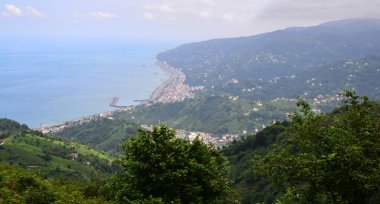 Cayeli ve Doğa - Rize - TURKEY