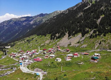 Türkiye 'nin Rize kentinde yer alan Elevit Platosu, bölgenin korunmuş platolarından biri..