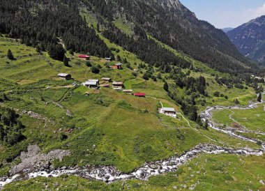 Türkiye 'nin Rize kentinde yer alan Elevit Platosu, bölgenin korunmuş platolarından biri..