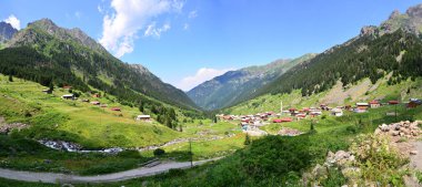 Türkiye 'nin Rize kentinde yer alan Elevit Platosu, bölgenin korunmuş platolarından biri..