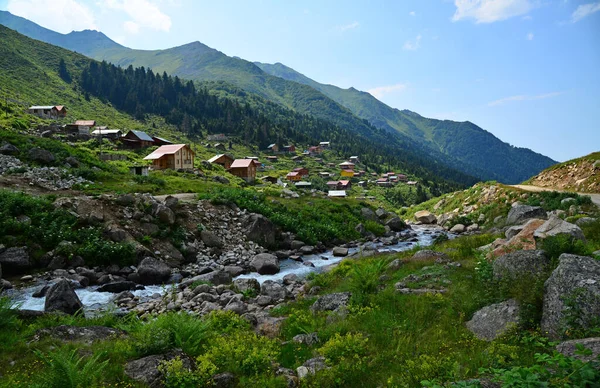 Amlakit Plateau Położony Rize Turcja Jest Ważnym Ośrodkiem Turystycznym — Zdjęcie stockowe