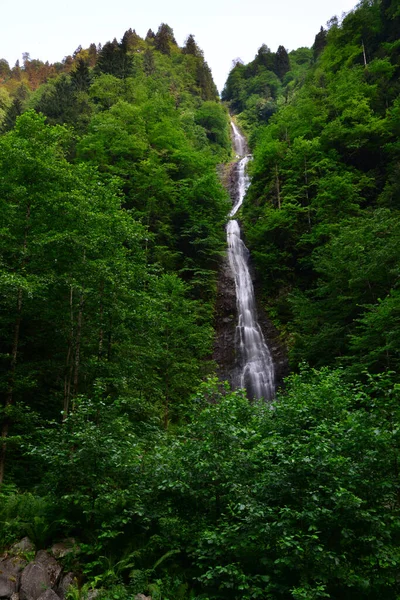 Nachází Rize Turecko Bulut Vodopád Jedním Nejnavštěvovanějších Míst Regionu — Stock fotografie