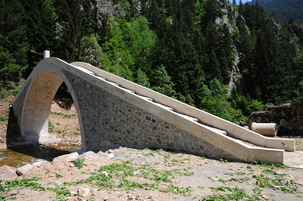 Most Dikta Położony Rize Turcja Został Zbudowany Wieku — Zdjęcie stockowe