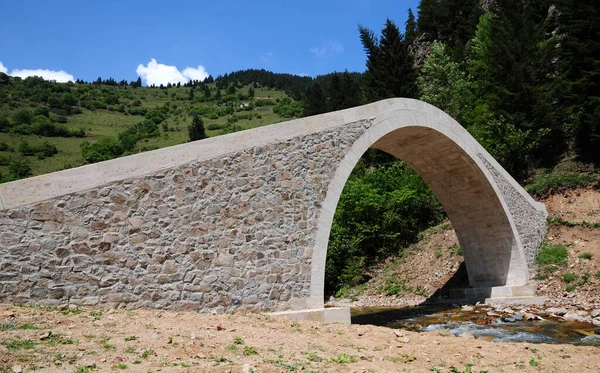 Dikta Bridge Gelegen Rize Turkije Werd Gebouwd 19E Eeuw — Stockfoto
