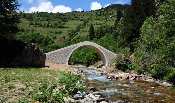 Dikta Bridge Gelegen Rize Turkije Werd Gebouwd 19E Eeuw — Stockfoto