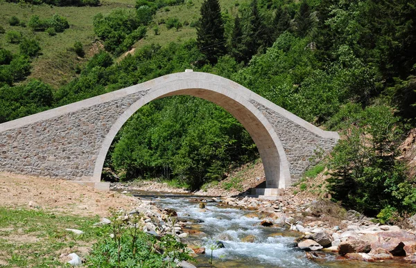 Ponte Dikta Localizada Rize Turquia Foi Construída Século Xix — Fotografia de Stock