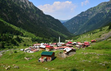 Türkiye 'nin Rize kentinde yer alan Elevit Platosu, bölgenin korunmuş platolarından biri..