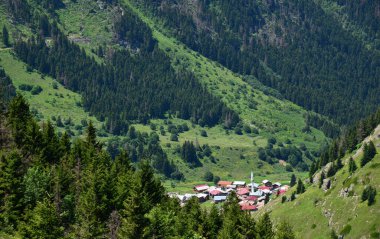 Türkiye 'nin Rize kentinde yer alan Elevit Platosu, bölgenin korunmuş platolarından biri..