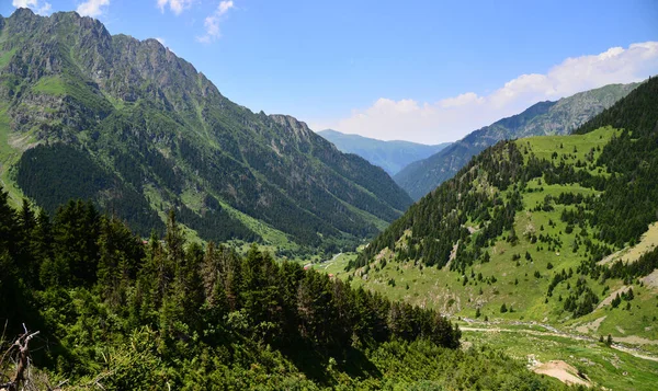 標高高原はトルコのリゼに位置し この地域の保存されている高原の一つである — ストック写真