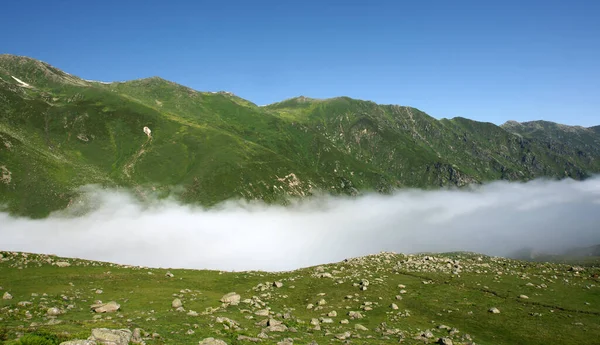 stock image Kackar Mountains - Rize - TURKEY