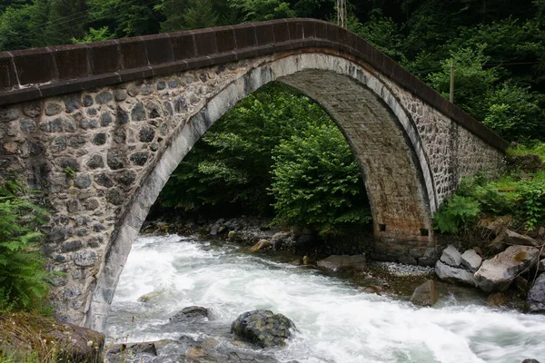 历史城堡桥位于土耳其里兹 建于18世纪 — 图库照片