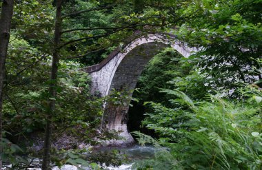 Tarihsel Mikron Köprüsü - Rize - TURKEY