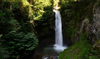 Türkiye 'nin Rize kentinde yer alan Palovit Şelalesi, bölgede en çok ziyaret edilen yerlerden biri..