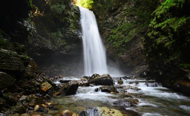 Türkiye 'nin Rize kentinde yer alan Palovit Şelalesi, bölgede en çok ziyaret edilen yerlerden biri..