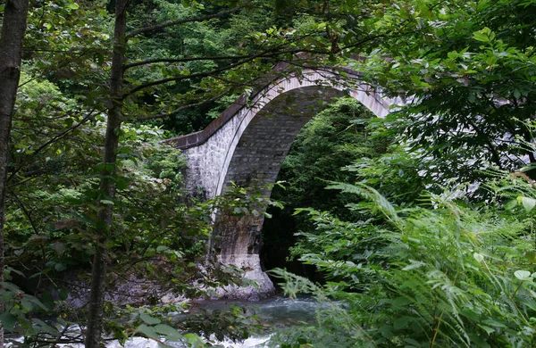 Ponte Mikron Histórica Rize Turquia — Fotografia de Stock