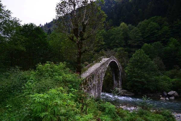Puente Histórico Ortan Rize Turquía —  Fotos de Stock