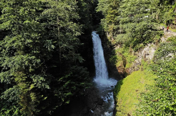 Расположенный Ризе Турция Паловит Водопад Является Одним Самых Посещаемых Мест — стоковое фото