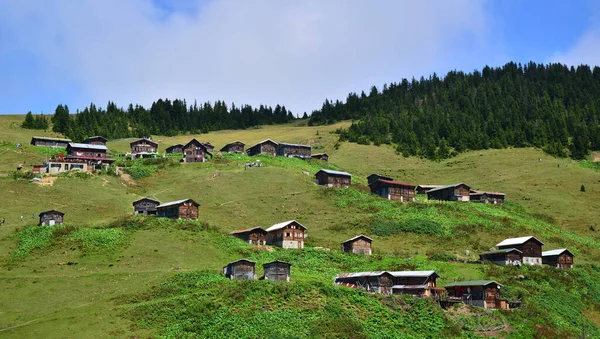 Położony Rize Turcja Pokut Plateau Jest Jednym Najczęściej Odwiedzanych Miejsc — Zdjęcie stockowe