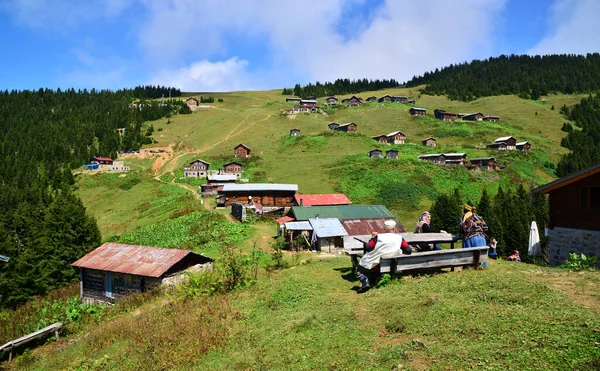 Położony Rize Turcja Pokut Plateau Jest Jednym Najczęściej Odwiedzanych Miejsc — Zdjęcie stockowe