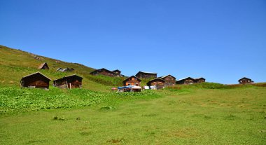 Türkiye 'nin Rize kentindeki Sal Platosu önemli bir yerel platodur..