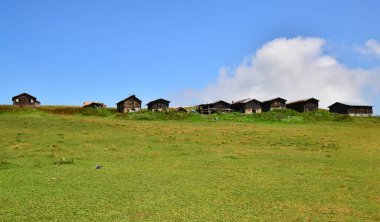 Türkiye 'nin Rize kentindeki Sal Platosu önemli bir yerel platodur..