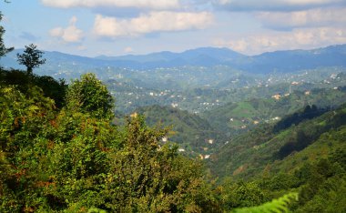 Yenihisar Köyü - Rize / TURKEY