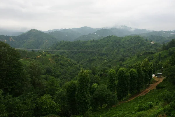 Villaggio Yenihisar Rize Turchia — Foto Stock