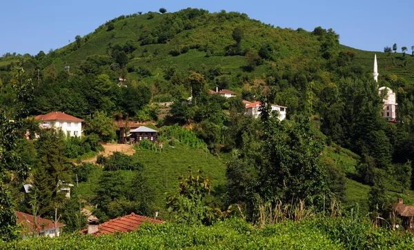 Yenihisar Village Rize Turkey — Stockfoto