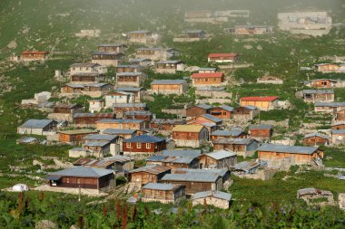 Türkiye 'nin Rize kentinde yer alan Kavrun Platosu önemli bir yerel platodur..