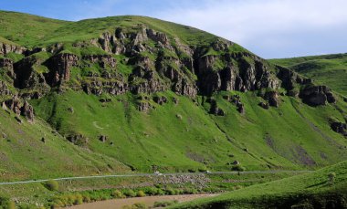 Doğa Hayatı - Tgri - TURKEY
