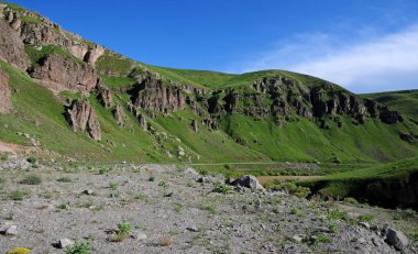 Doğa Hayatı - Tgri - TURKEY