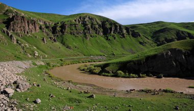 Doğa Hayatı - Tgri - TURKEY