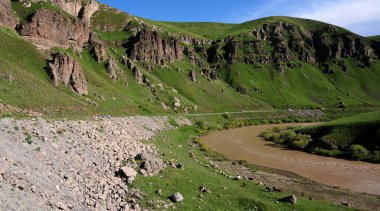 Doğa Hayatı - Tgri - TURKEY