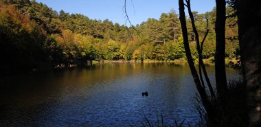 Yalova, Türkiye 'de yer alan Buyuk Dipsiz Gölü, bölgenin korunan bölgelerinden biri..